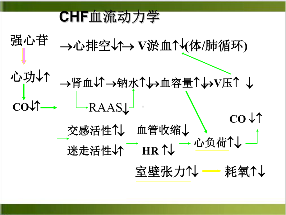 抗充血性心力衰竭药课件整理.ppt_第3页