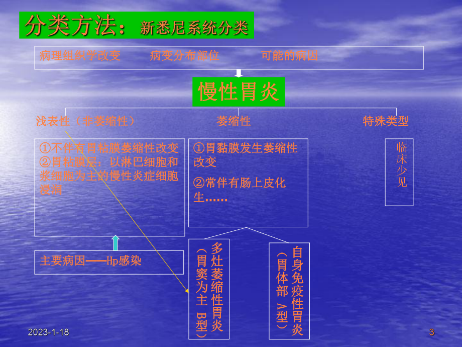 慢性胃炎定课件.ppt_第3页