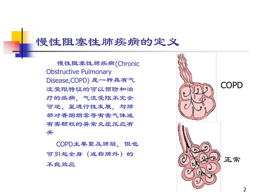 慢性阻塞性肺疾病精选教学课件.ppt_第2页