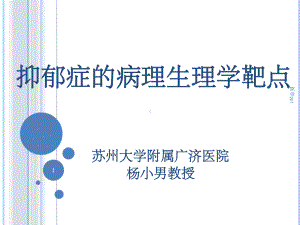 抑郁症的病理生理学靶点课件1.ppt