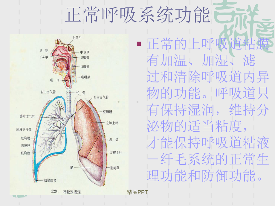 气管切开患者的护理(同名17)课件.ppt_第3页