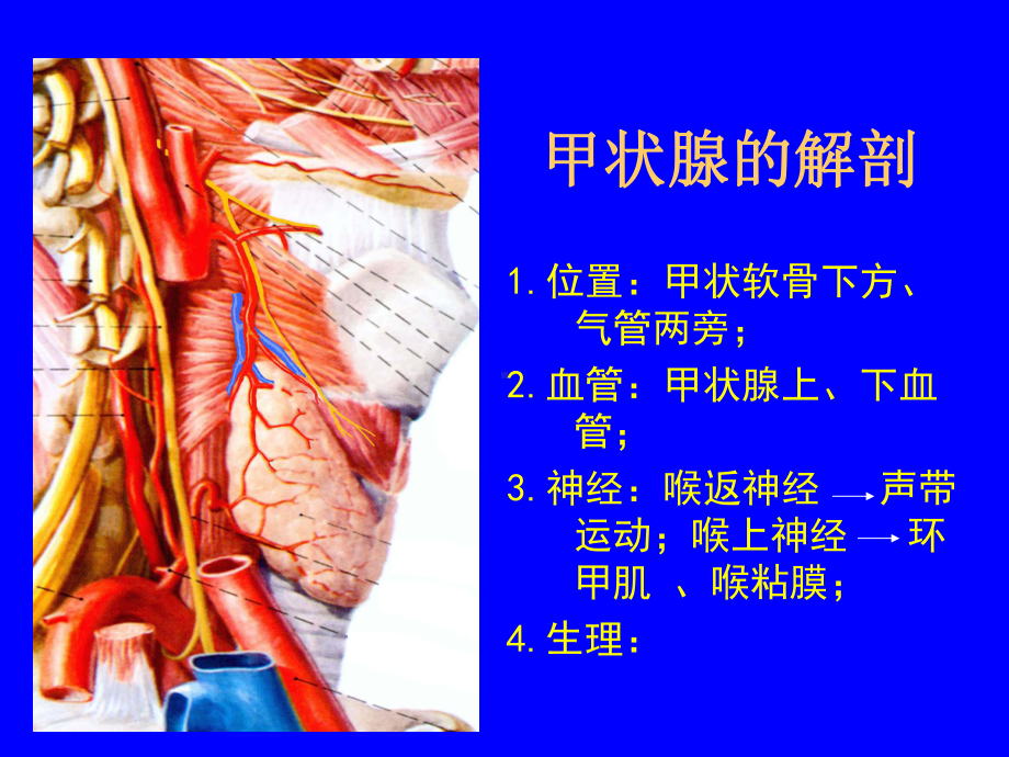 最新甲状腺疾病的外科处理修改课件.ppt_第2页