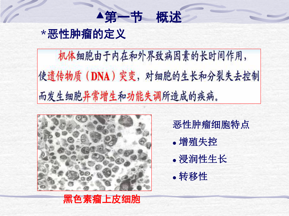 抗肿瘤药物五年制12课件.ppt_第3页