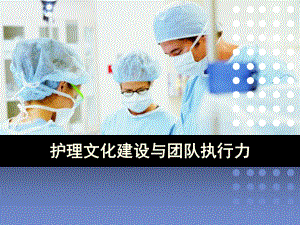 护理文化建设与团队执行力讲座课件.ppt