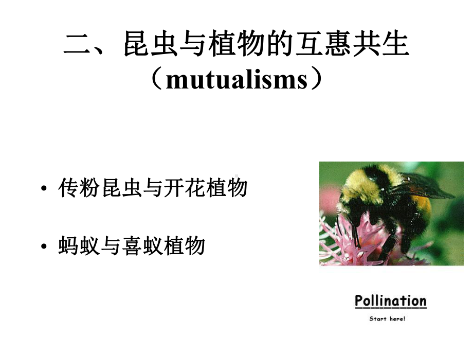 昆虫与植物的互惠共生课件.ppt_第1页