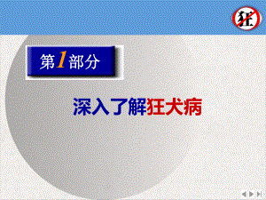 狂犬病及狂犬病防治实用版课件.pptx