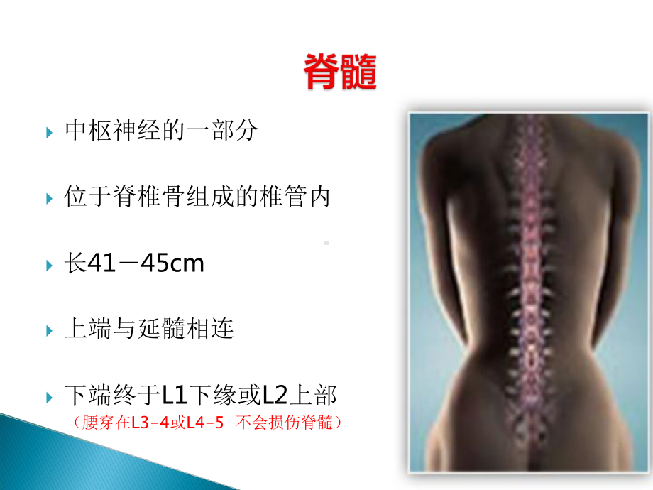 甲强龙冲击疗法在脊髓损伤中的应用及护理课件.ppt_第3页