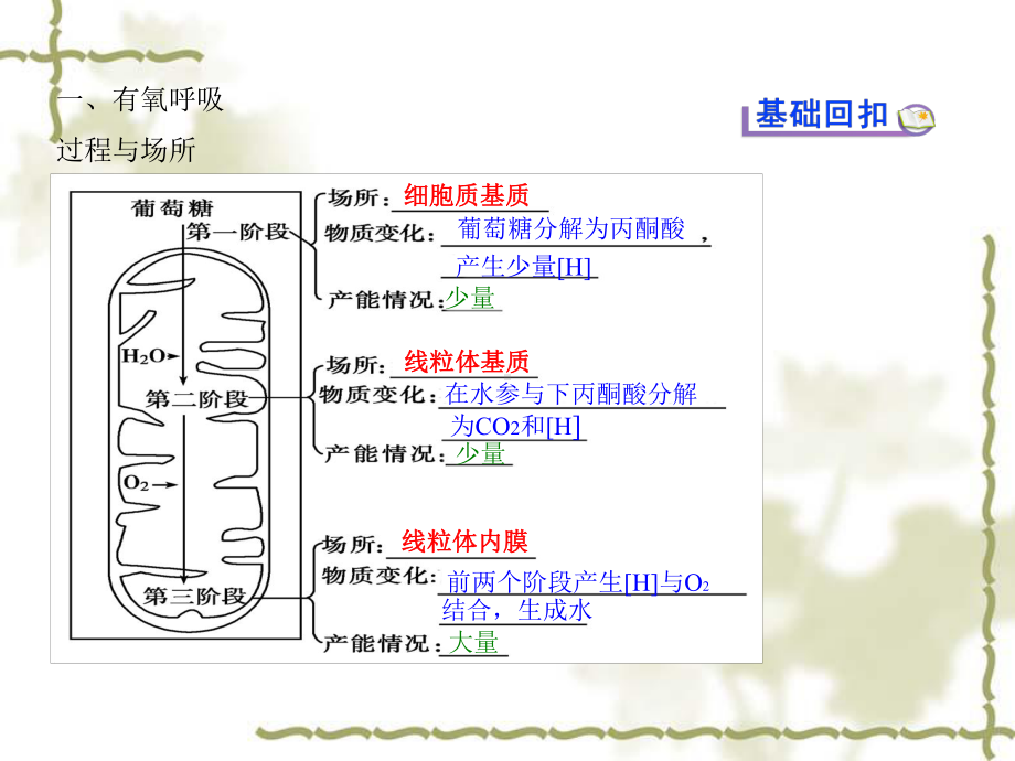 探究酵母菌的呼吸方式考点要求内容项目细胞质基质葡萄糖分解为丙酮课件.ppt_第2页