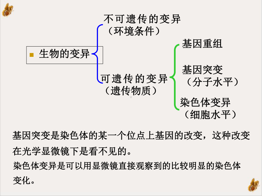 染色体变异[1]课件.ppt_第2页