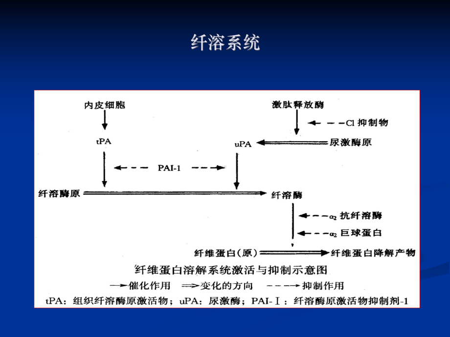 弥散性血管内凝血-课件2.ppt_第3页