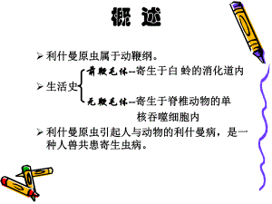 杜氏利什曼原虫引起课件.ppt