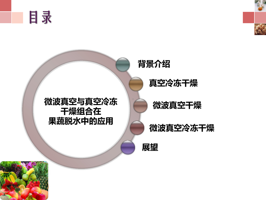 微波真空与真空冷冻干燥组合技术课件.pptx_第2页