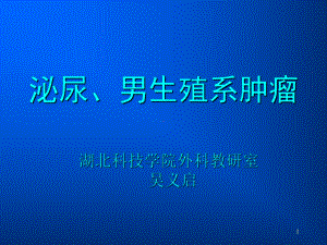 泌尿肿瘤课件.ppt