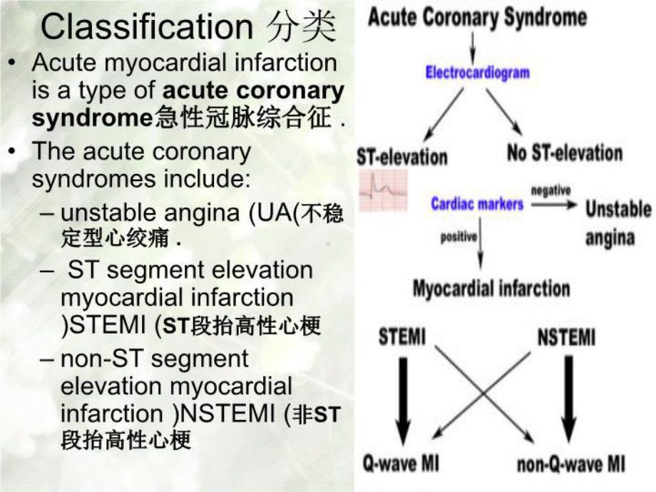 最新内科护理学课件-英语-考试资料myocardial+infarction.ppt_第3页