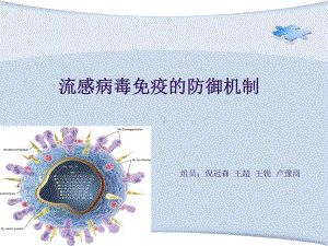 流感病毒免疫的防御机制课件.ppt