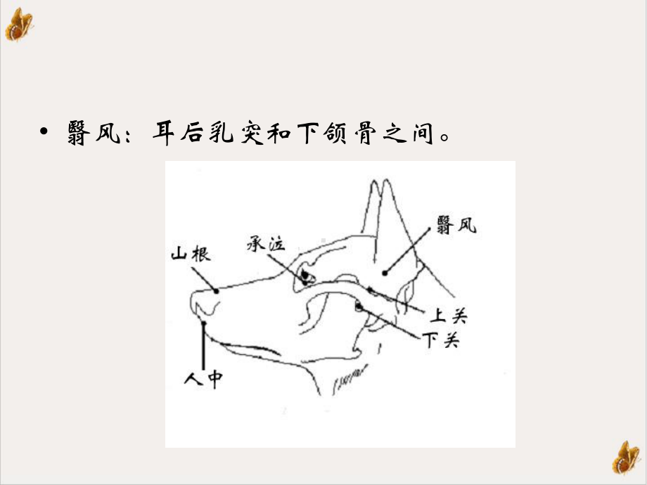 犬神经障碍性疾病的针灸治疗课件1.pptx_第3页