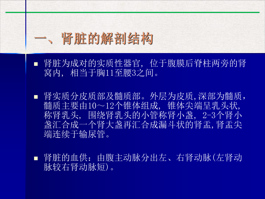 泌尿系疾病超声诊断课件整理.pptx_第2页