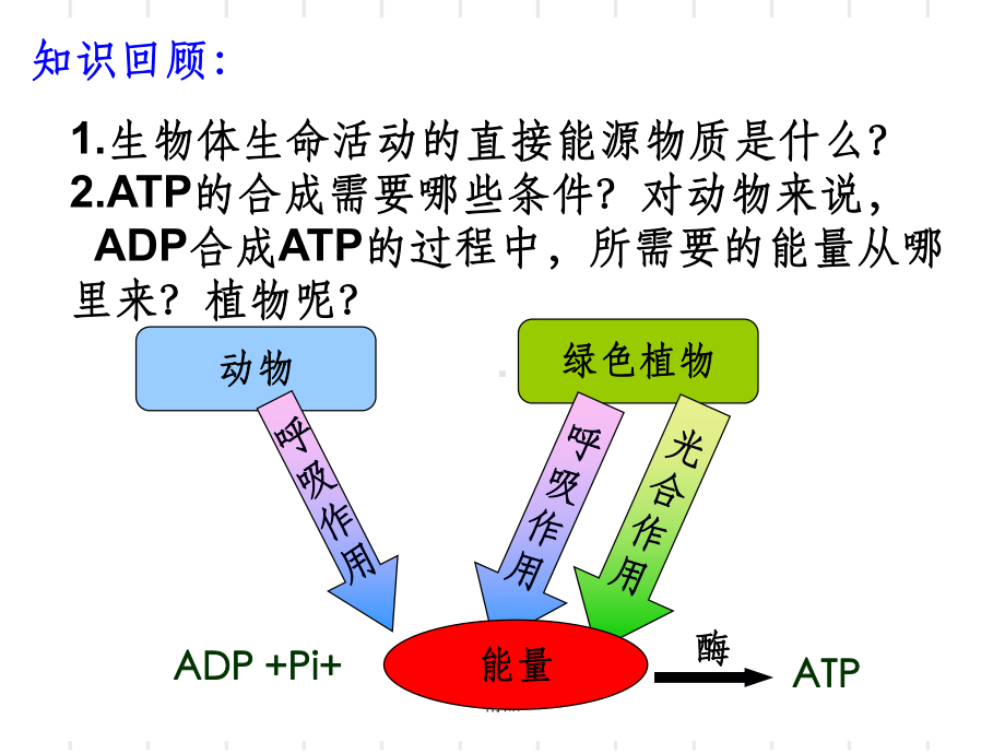 必修一细胞呼吸课件整理.ppt_第1页