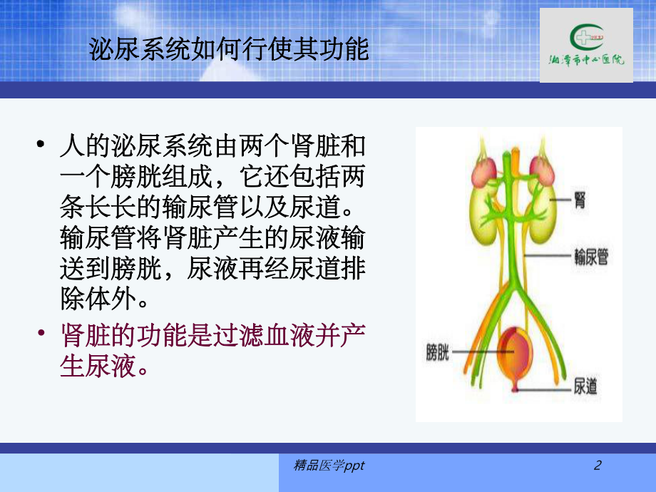 急性肾小球肾炎的护理课件.ppt_第2页