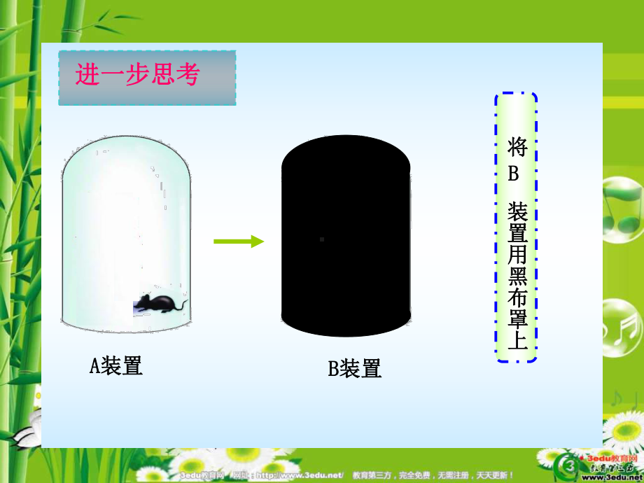 生物的呼吸和呼吸作用课件浙教版八级科学下册-.ppt_第3页