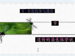 生物遗传的染色体学说课件浙科版必修.ppt