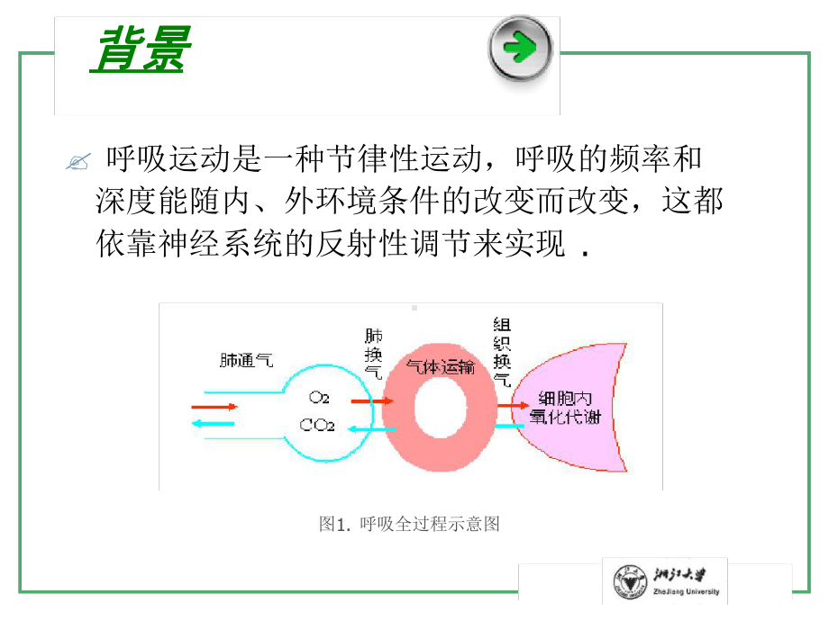 实验20家兔呼吸系统综合实验课件.ppt_第2页