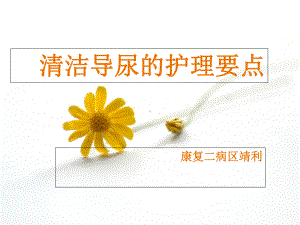 清洁导尿的护理要点课件.ppt