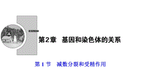 新人教版高中生物第二章基因和染色体的关系第1节减数分裂和受精作用课件必修2.ppt