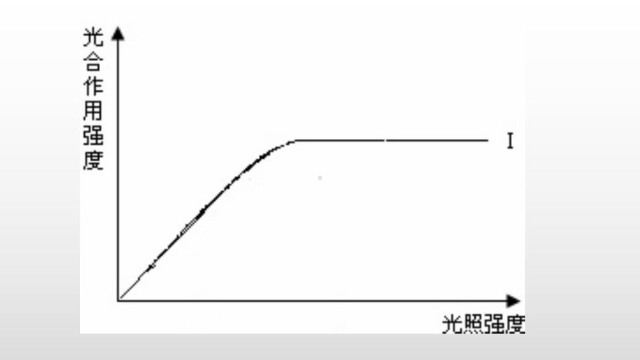 浙教版科学专题复习：光合作用和呼吸作用的图表课件.pptx_第2页