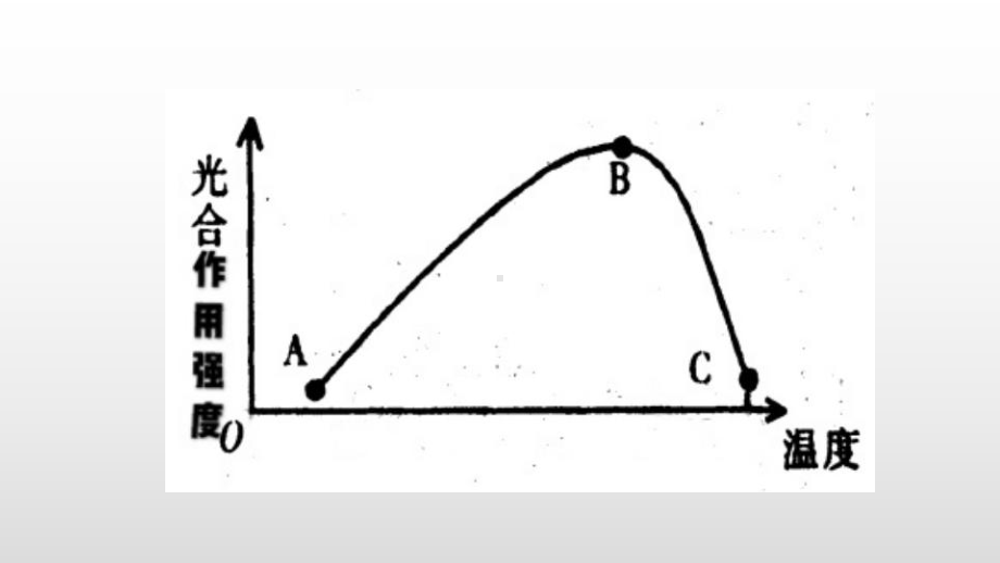 浙教版科学专题复习：光合作用和呼吸作用的图表课件.pptx_第3页