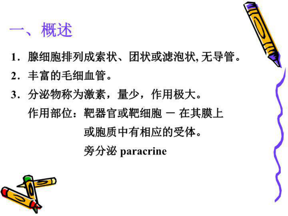 最新内分泌系统课件.ppt_第3页