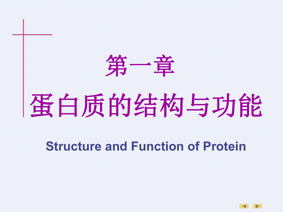 生物化学--01章-蛋白质的结构与功能-临床5年制-第7版课件.ppt_第2页