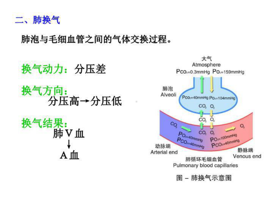 最新呼吸三节第四节第五节课件.ppt_第3页