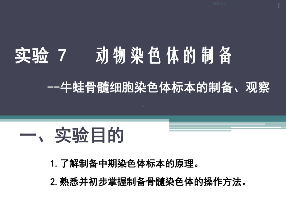 实验动物染色体标本的制备课件.ppt_第1页