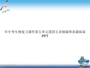 年中考生物复习第五单元第四五章细菌和真菌病毒课件.ppt