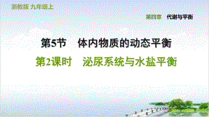 泌尿系统与水盐平衡—浙教版九级科学上册习题课件整理.ppt