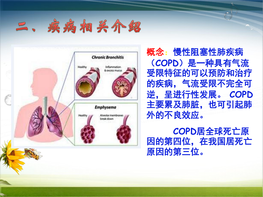 慢性阻塞性肺病护理教学查房新课件.pptx_第3页