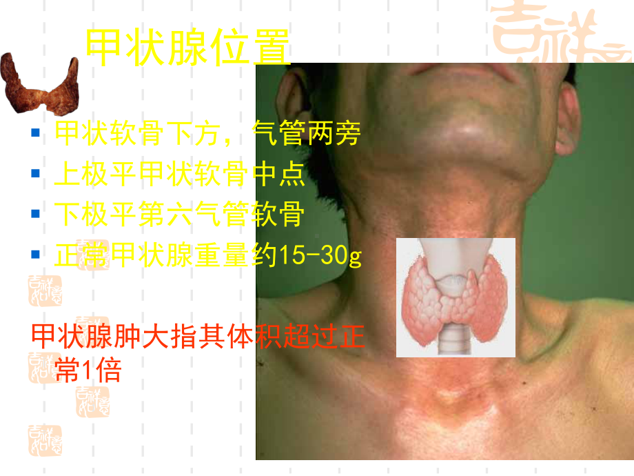 甲状腺基本解剖课件(同名373).ppt_第2页