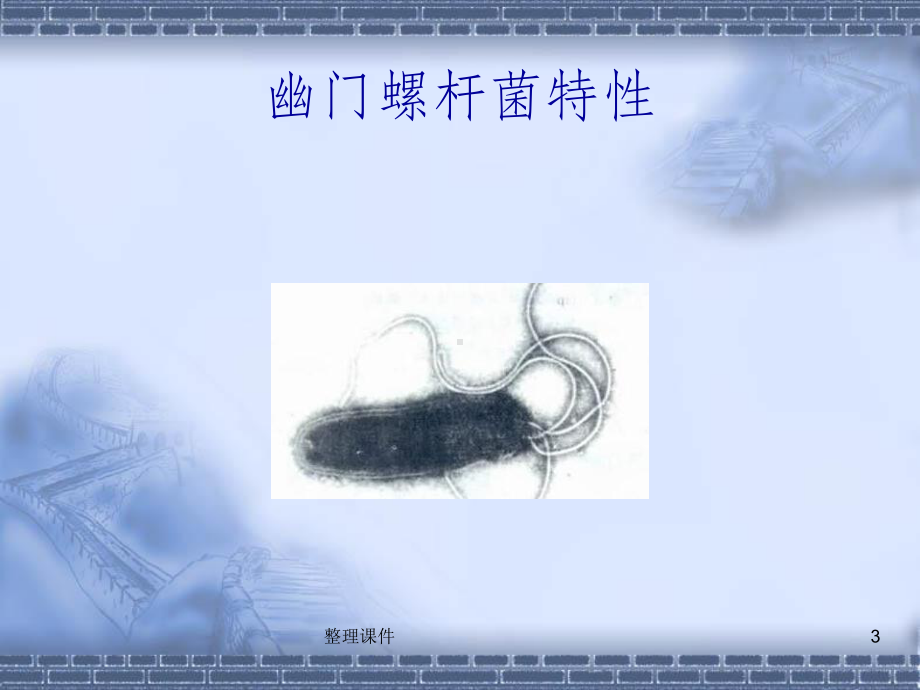 幽门螺杆菌共识报告课件.ppt_第3页