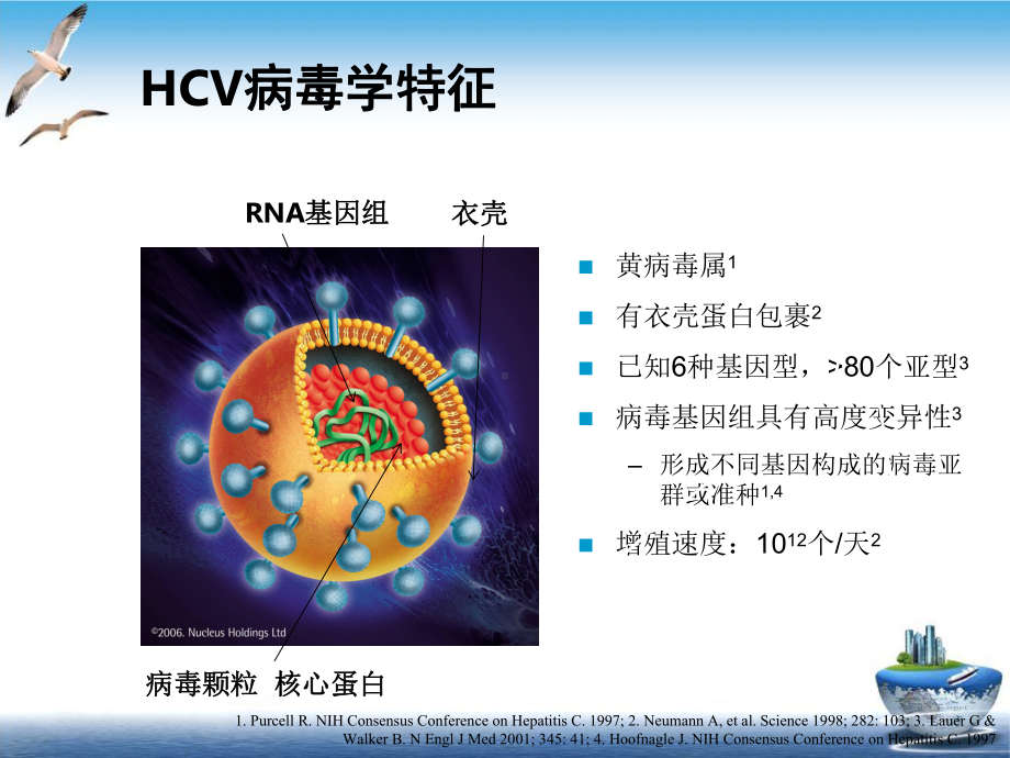 抗体检测介绍课件.ppt_第3页