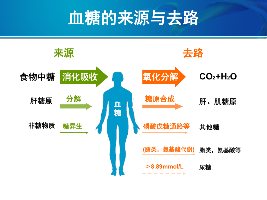 最新从B细胞功能看2型糖尿病治疗课件.ppt_第2页