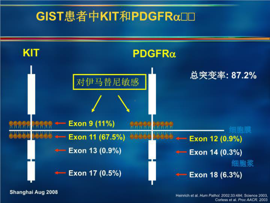 最新GIST治疗最新进展：伊马替尼治疗失败后的治疗策略课件.ppt_第3页