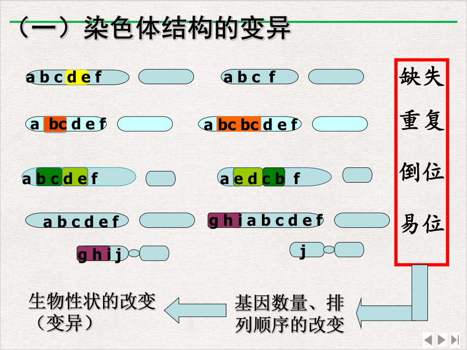 染色体变异育种和人类遗传病上课优选课件.ppt_第3页