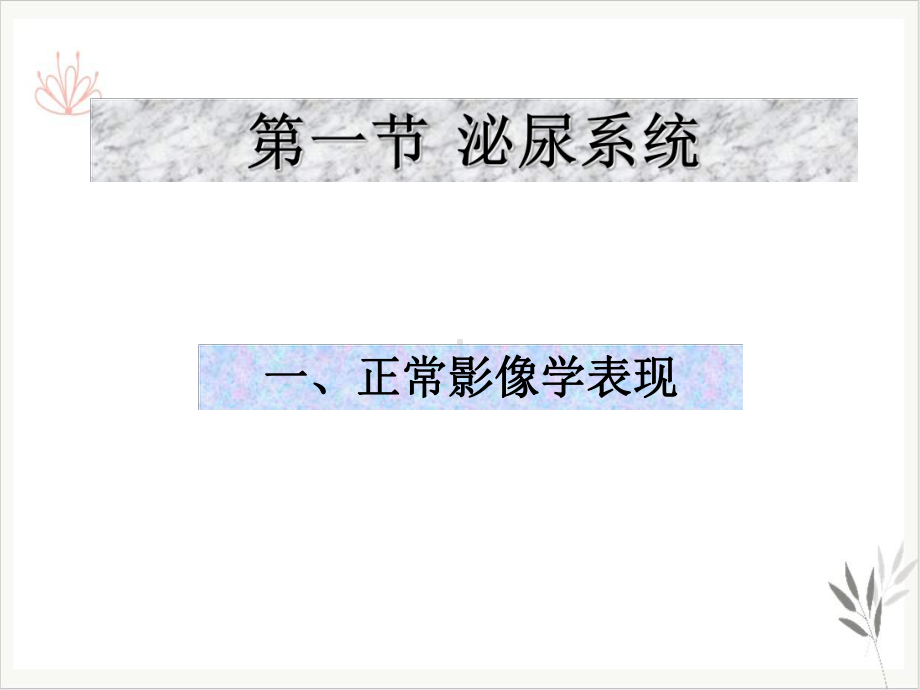 泌尿系统影像学表现(详细全面)课件.ppt_第3页