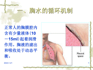 少量胸腔积液课件.ppt