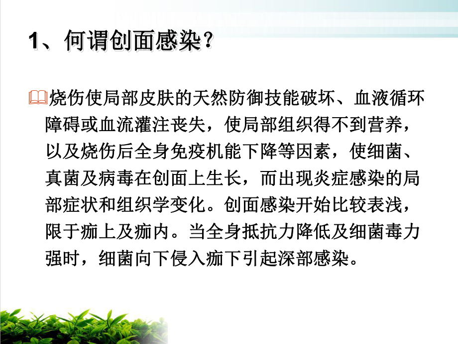 烧伤感染与抗生素使用优质课件.pptx_第2页