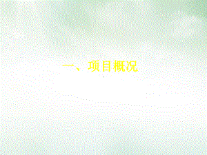 深ⅱ烧伤创面的磨痂治疗术项目总结授课课件.pptx