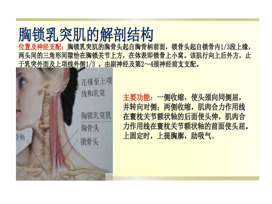 小儿肌性斜颈康复治疗课件.ppt_第3页