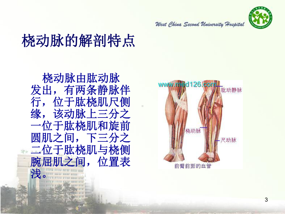 生儿动脉穿刺技巧课件.ppt_第3页