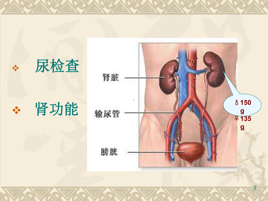 肾内科常用的实验室检查课件整理.ppt_第2页